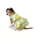 Product Rubie's Pet Shop Halloween The Princess And The Frog Dog & Cat Costume