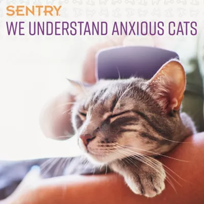 Product Sentry Calming Chews for Cats