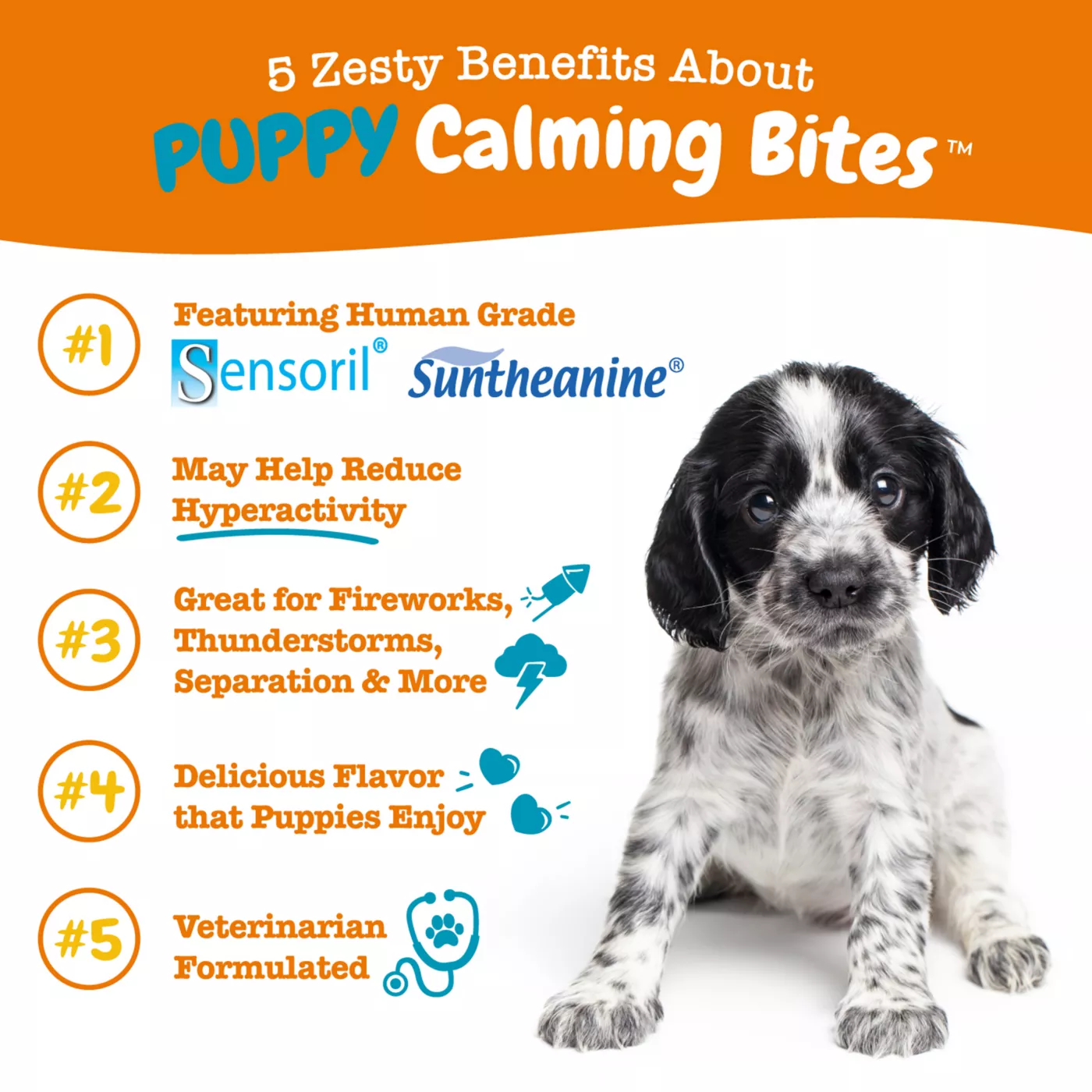 Calming bites for dogs reviews best sale