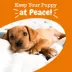 Zesty Paws Calming Bites for Puppy - Turkey Flavor - 90 Ct image thumbnail 8