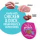 Product Tiki Dog Petites Chicken & Duck Wet Dog Food