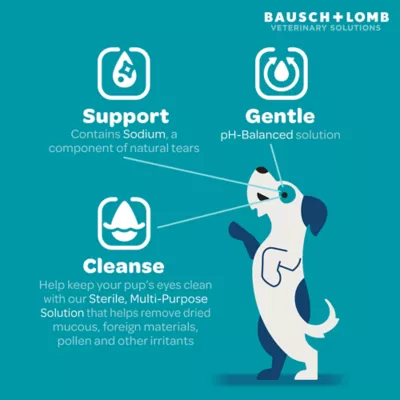 Bausch and lomb eye wash for dogs hotsell