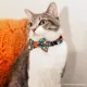 Product Made By Cleo® Here For The Boos Halloween Breakaway Cat Collar