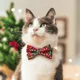 Product Made By Cleo® Joy Christmas Breakaway Cat Collar