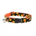 Made By Cleo® Halloween "Trick or Treat" Candy Corn Breakaway Cat Collar image thumbnail 1