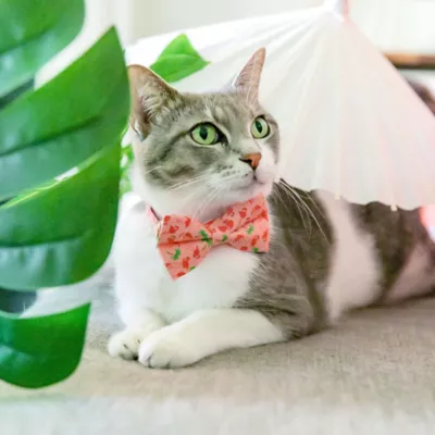 Product Made By Cleo® Flamingo Pink Tropical Breakaway Cat Collar