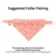 Product Made By Cleo Bandana- Pink Flamingo