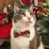 Made By Cleo® Birchwood Holiday Plaid Cat Bow Tie image thumbnail 3
