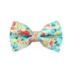 Product Made By Cleo® Ocean Life Beach Cat Bow Tie