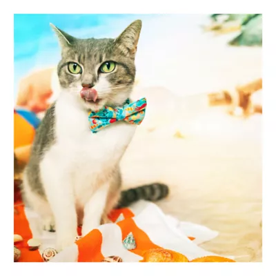 Product Made By Cleo® Ocean Life Beach Cat Bow Tie