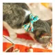 Product Made By Cleo® Ocean Life Beach Cat Bow Tie