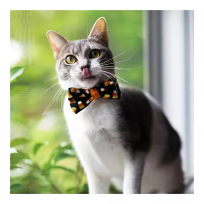 Product Made By Cleo® Trick or Treat Halloween Candy Corn Cat Bow Tie