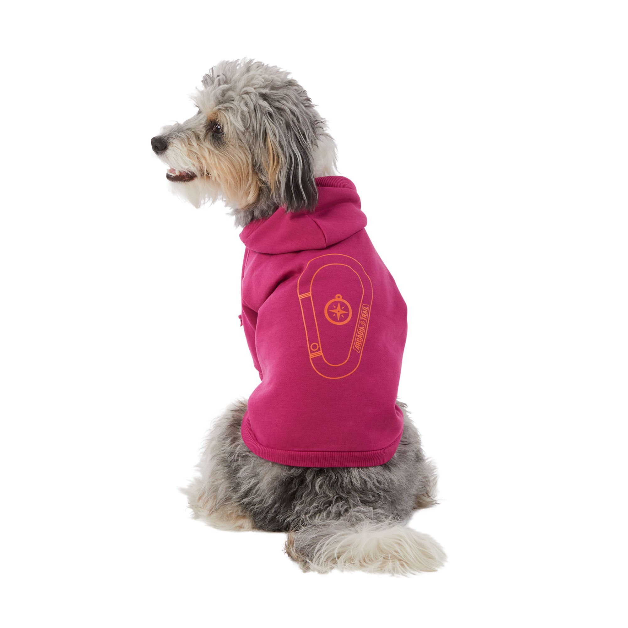 Explore New Paths Dog Walking Hoodie Dog Walkers Hoodie Dog 