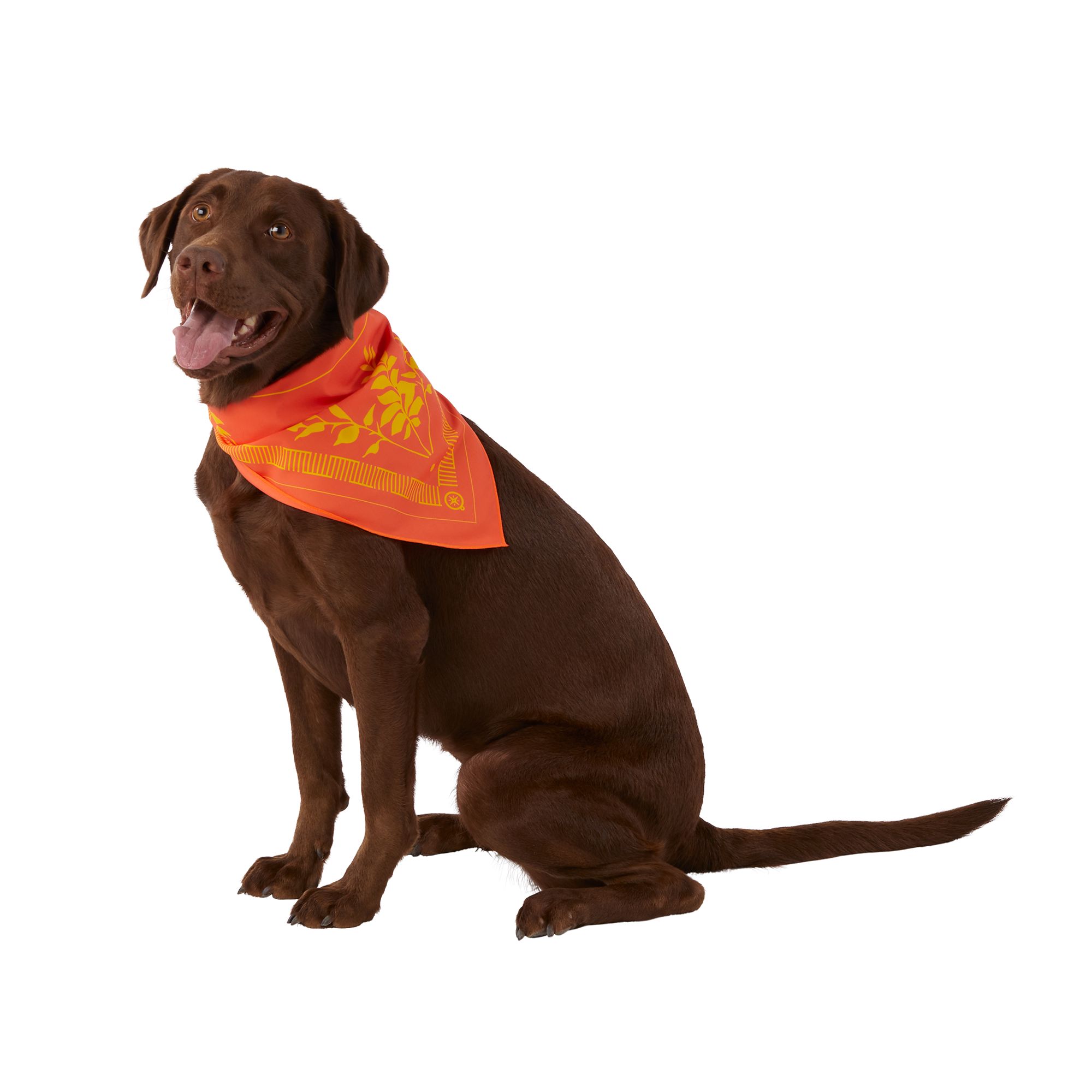 Cabana Bandana for Dogs and Other pets