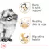 Royal Canin® Breed Health Nutrition Pomeranian Breed Specific Adult Dog Dry Food - 2.5 lb image thumbnail 2
