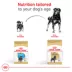 Royal Canin® Breed Health Nutrition Rottweiler Breed Specific Adult Dog Dry Food - 30 lb image thumbnail 7