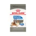 Royal Canin Canine Adult Dry Dog Food - Large Weight Care Nutrition, 30 lb image thumbnail 1