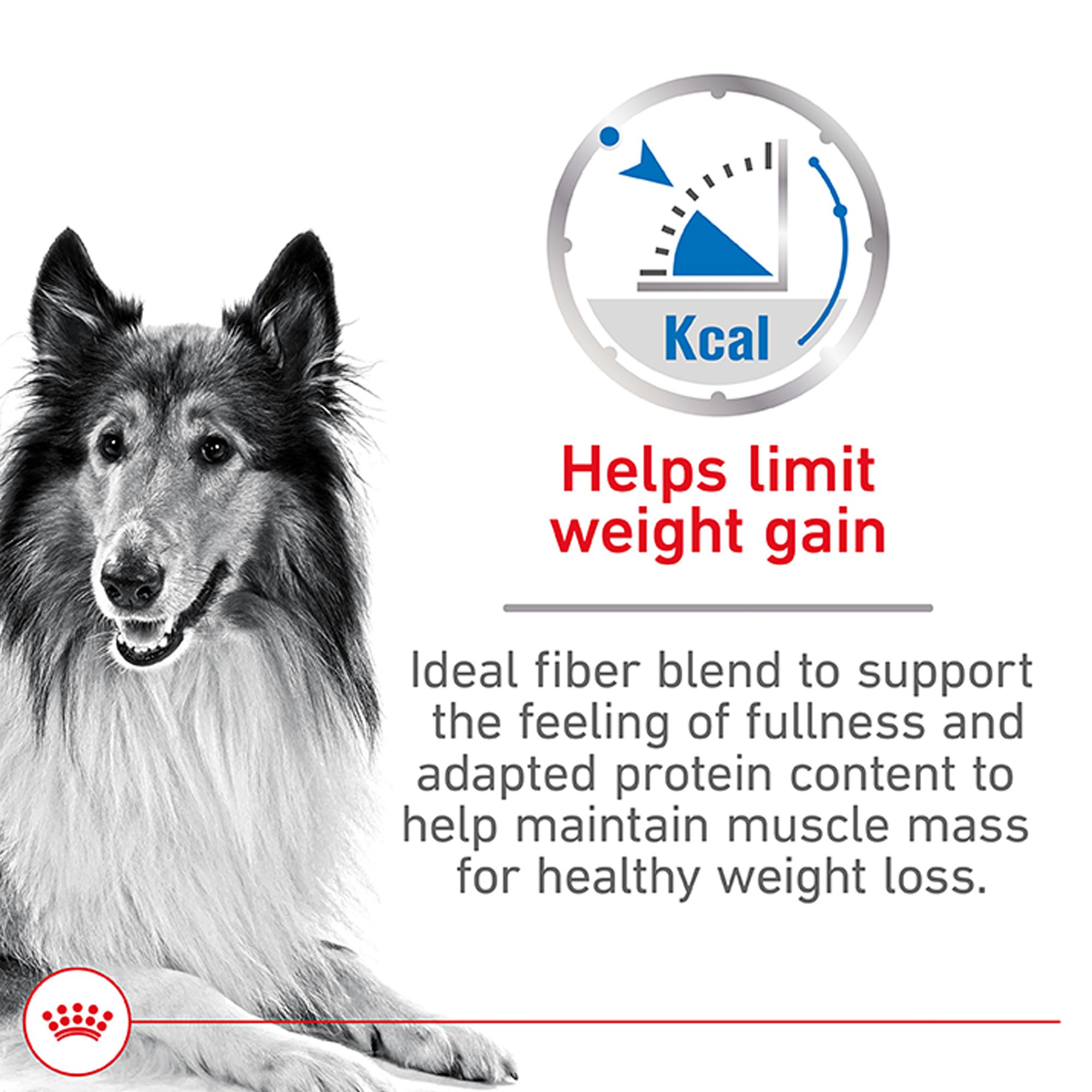 Royal Canin Vet Care Adult Giant Dog Osteo & Digest – 14 Kg, Spezialfutter Für Große Hunde Mit Gelenk- & Verdauungsunterstützung