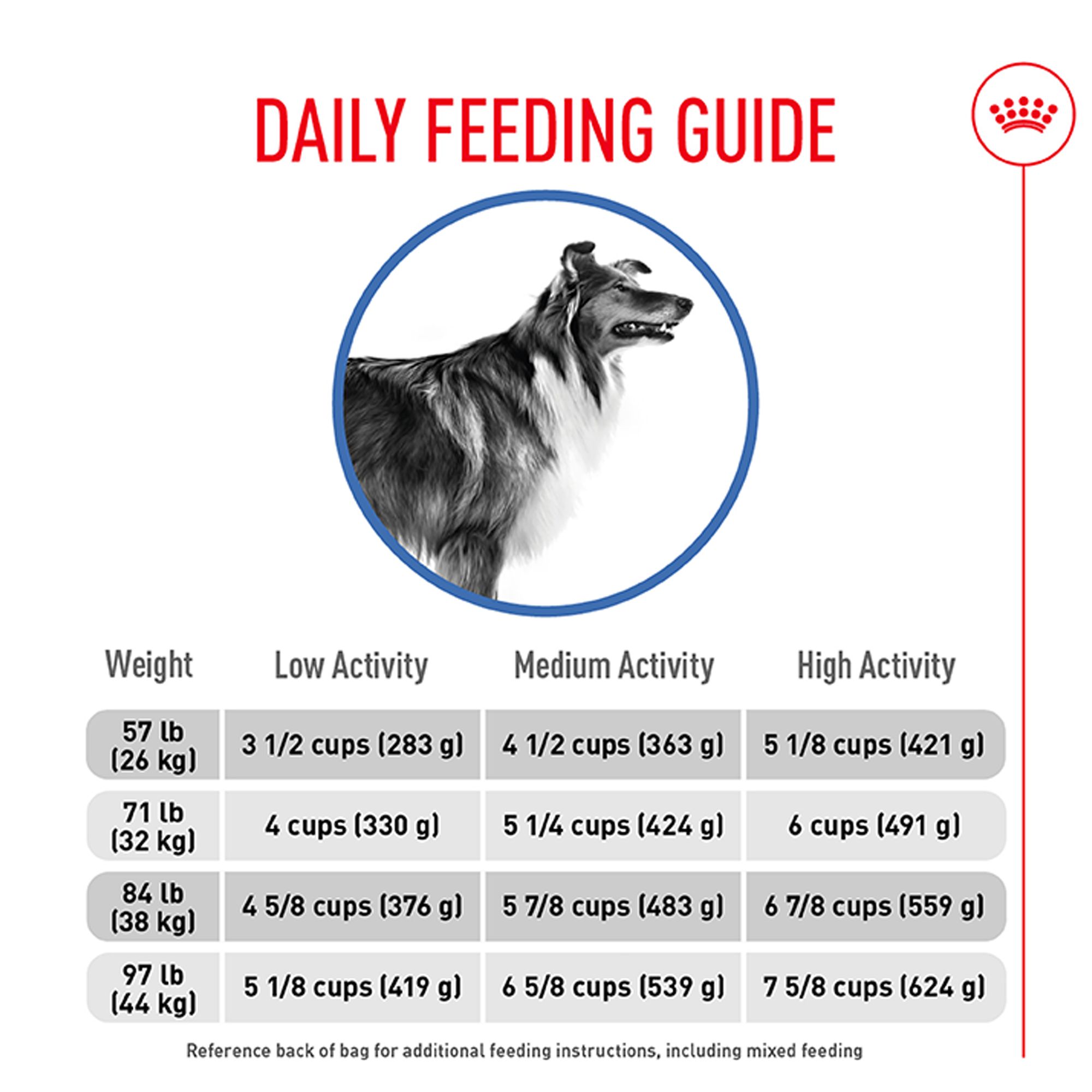 Royal Canin Vet Care Adult Giant Dog Osteo & Digest – 14 Kg, Spezialfutter Für Große Hunde Mit Gelenk- & Verdauungsunterstützung