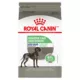 Product Royal Canin® Canine Care Nutrition Digestive Care Large Breed Adult Dog Dry Food - 30 lb