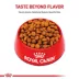 Royal Canin Canine Adult Dry Dog Food - Large Breed Digestive Care Nutrition, 30 lb image thumbnail 2