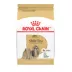 Royal Canin Adult Dry Dog Food - Shih Tzu Breed Health Nutrition image thumbnail 1