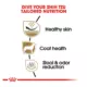 Product Royal Canin® Breed Health Nutrition® Shih Tzu Breed Specific Adult Dog Dry Food