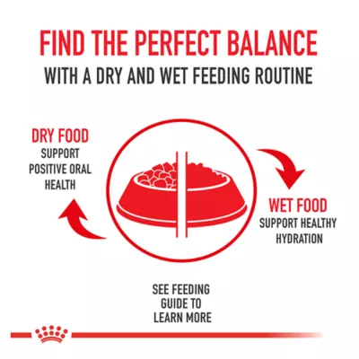 Product Royal Canin® Breed Health Nutrition® Shih Tzu Breed Specific Adult Dog Dry Food