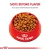 Royal Canin Breed Health Nutrition Cavalier King Charles Spaniel Adult Dry Dog Food image thumbnail 2