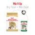 Royal Canin Breed Health Nutrition Cavalier King Charles Spaniel Adult Dry Dog Food image thumbnail 6