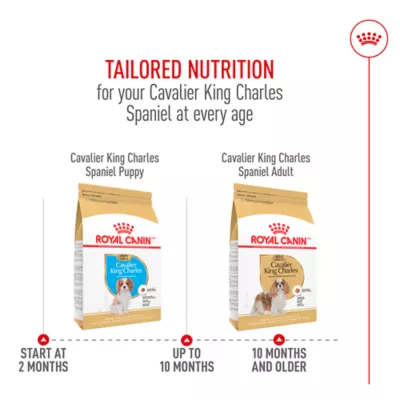 Product Royal Canin® Breed Health Nutrition Cavalier King Charles Breed Specific Adult Dog Dry Food - 10 lb