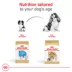 Royal Canin Breed Health Nutrition Cavalier King Charles Spaniel Adult Dry Dog Food image thumbnail 7