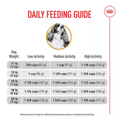 Product Royal Canin® Breed Health Nutrition Cavalier King Charles Breed Specific Adult Dog Dry Food - 10 lb
