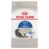 Royal Canin Feline Health Indoor Adult Dry Cat Food Nutrition image thumbnail 1