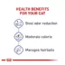 Royal Canin Feline Health Indoor Adult Dry Cat Food Nutrition image thumbnail 4
