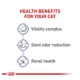 Product Royal Canin Indoor 7+ Adult Dry Cat Food