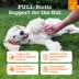 Zesty Paws Dog Vet Strength Pre, Post, & Probiotic Bites,Gut Health, Chicken & Veg Flavor, 90ct image thumbnail 3