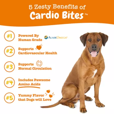 Product Zesty Paws Cardio Bites for Dogs - Salmon Flavor - 90 Ct