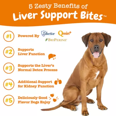 Product Zesty Paws Liver Support Bites for Dogs - Chicken Flavor - 90 Ct