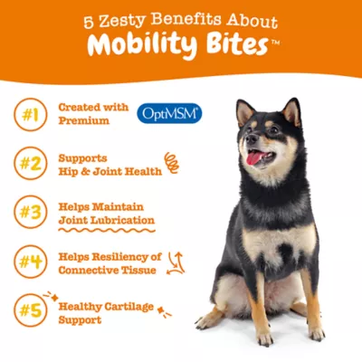 Product Zesty Paws Mobility Bites for Dogs - Bacon Flavor - 90 Ct