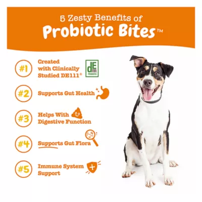 Probiotics for dogs petsmart best sale