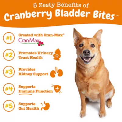 Cranberry Bites for Urinary Kidney and Bladder Support Soft Chews for Dogs 12.7 oz