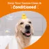 Zesty Paws Itch-Soother Dog Conditioner image thumbnail 4