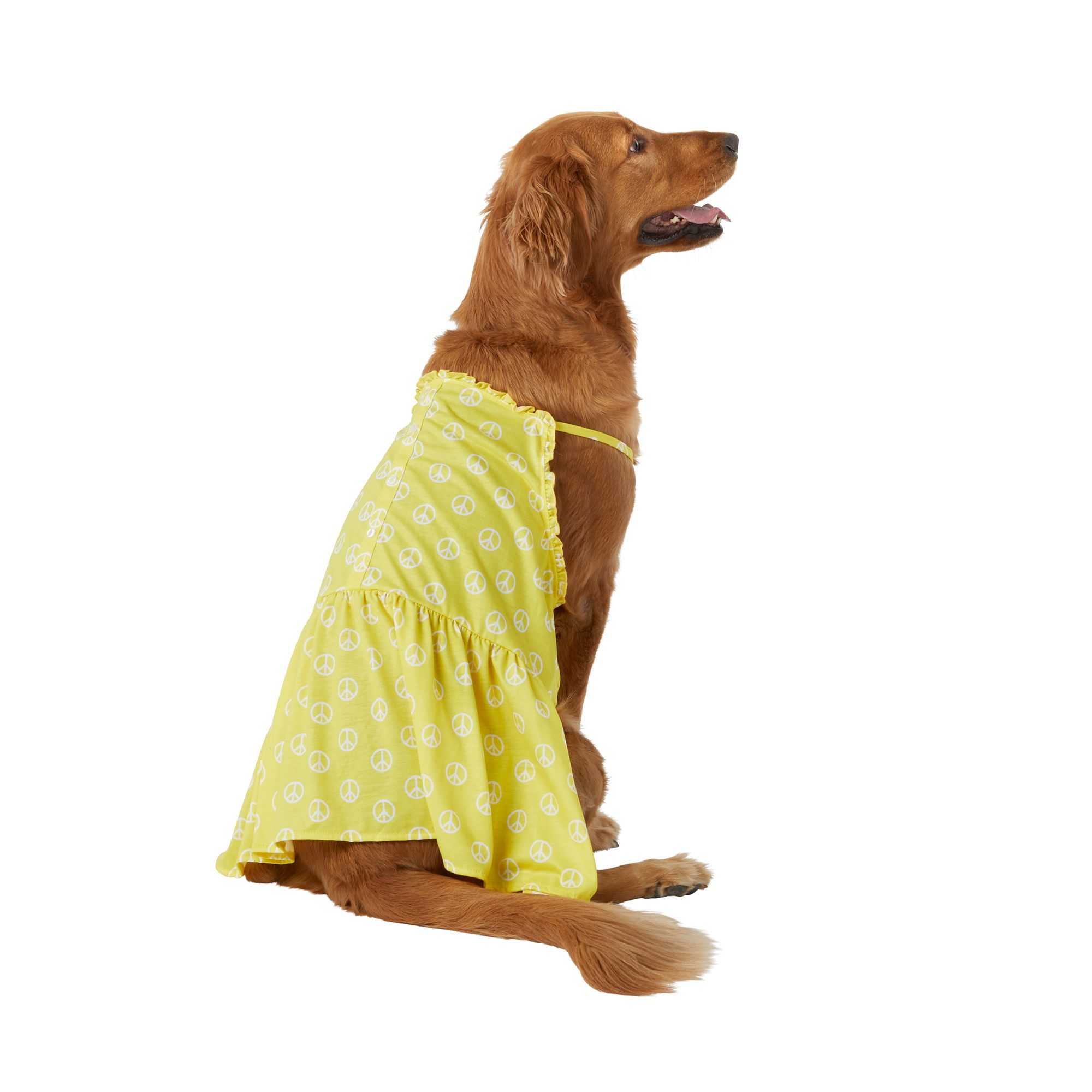 Petsmart dog outlet dresses