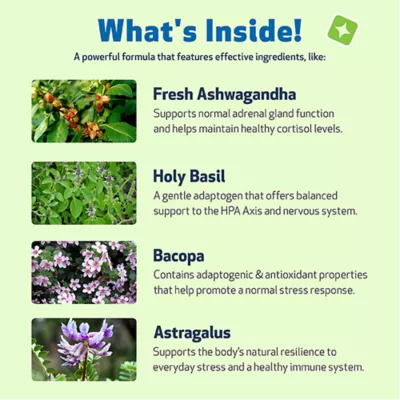 Product Pet Wellbeing Adrenal Harmony GOLD Liquid Hormonal Dog & Cat Supplement