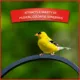 Product Pennington® Select Birder's Blend Bird Seed