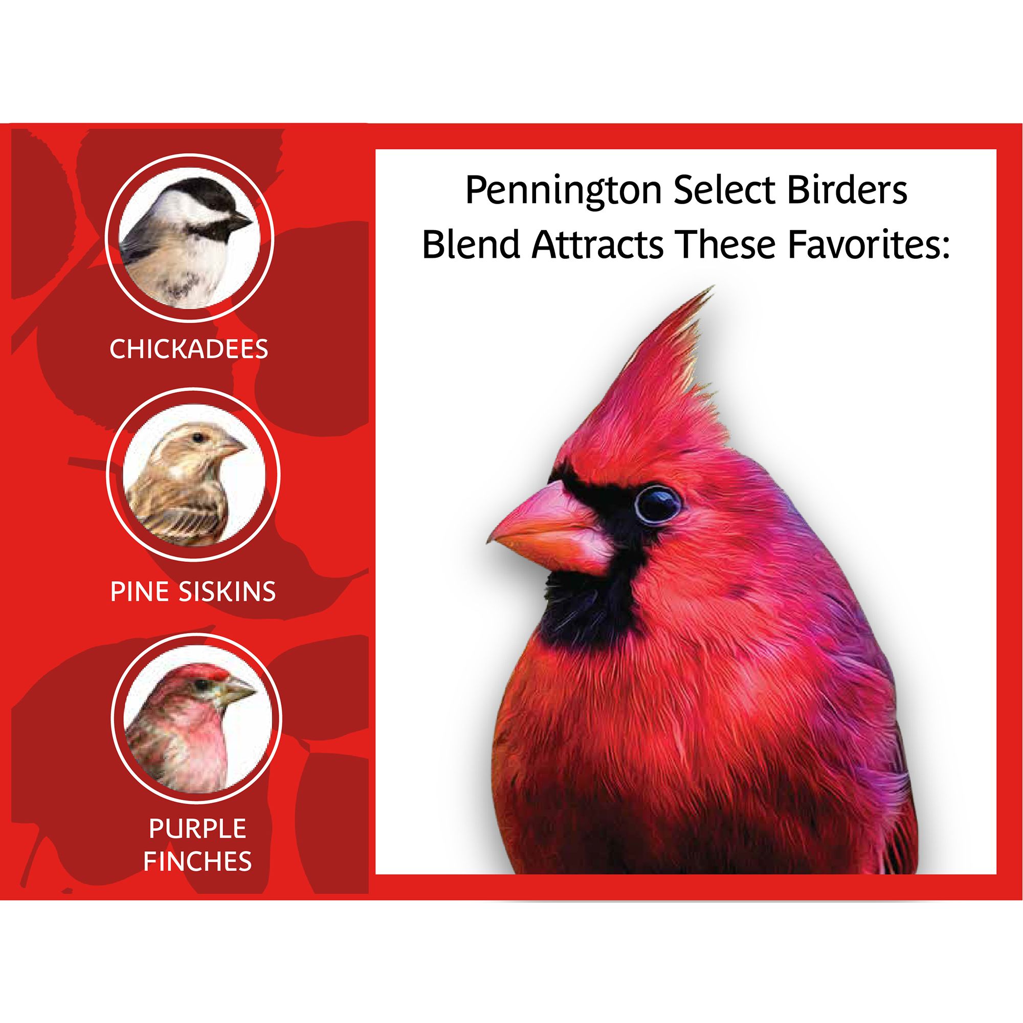 Pennington® Select Birder's Blend Bird Seed for Wild Birds - thumbnail 5
