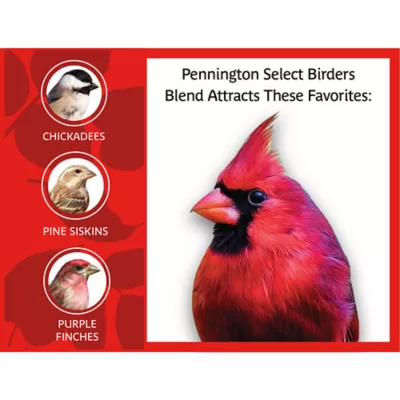 Product Pennington® Select Birder's Blend Bird Seed