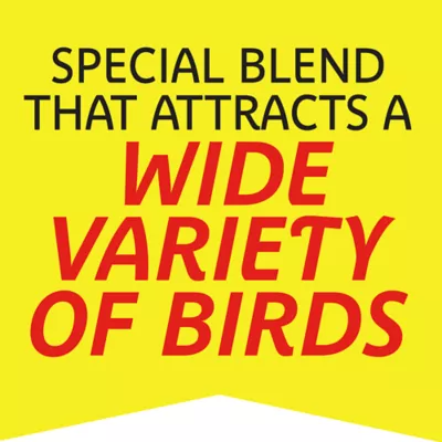 Product Pennington® Select Birder's Blend Bird Seed