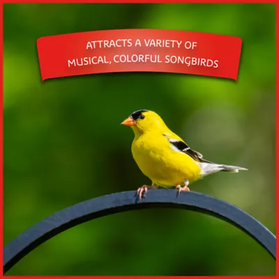 Product Pennington® Select Birder's Blend Bird Seed